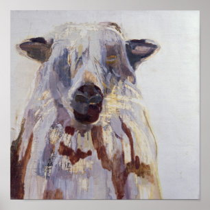 Schaap Poster