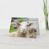 Schaap toont tong feestdagen kaart (Achterkant)