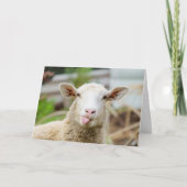 Schaap toont tong feestdagen kaart (Voorkant)