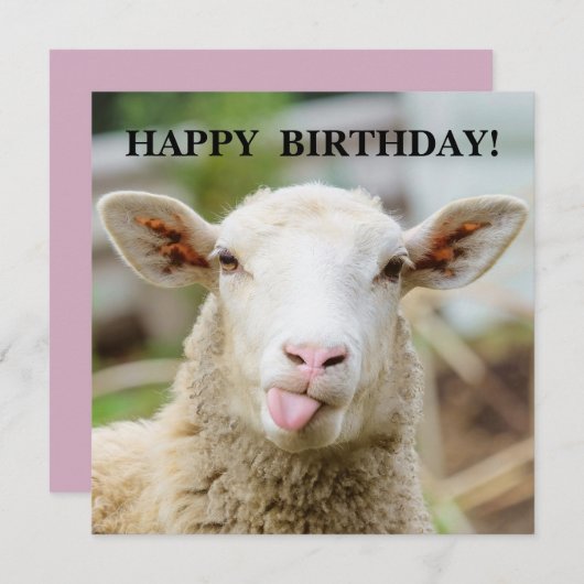 Schaap toont tong feestdagenkaart (Voorkant / Achterkant)