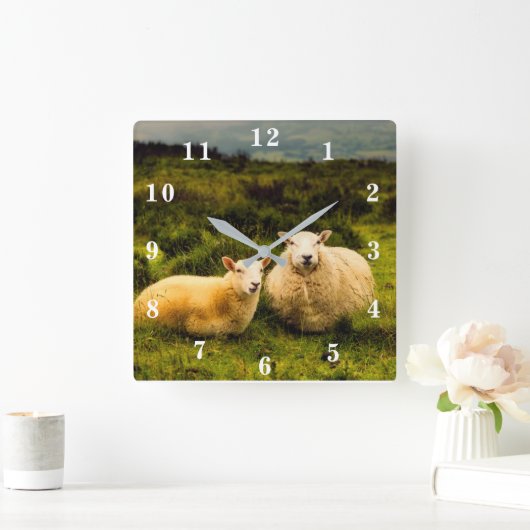 Schaap Vierkante Klok (Huis)