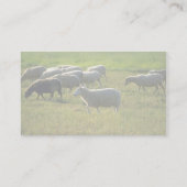 Schaap Visitekaartje (Achterkant)
