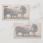Schaap Visitekaartje (Voorkant / Achterkant)