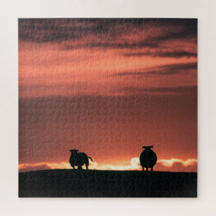 Schaap Zonsondergang Natuur Foto Legpuzzel