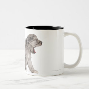 Schaappuppy van de Pyreneeën (4 weken) Tweekleurige Koffiemok