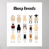schaapsschema poster (Voorkant)