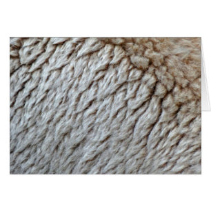 Schaapswol Abstracte Natuurfoto