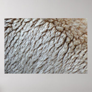 Schaapswol Abstracte Natuurfoto Poster