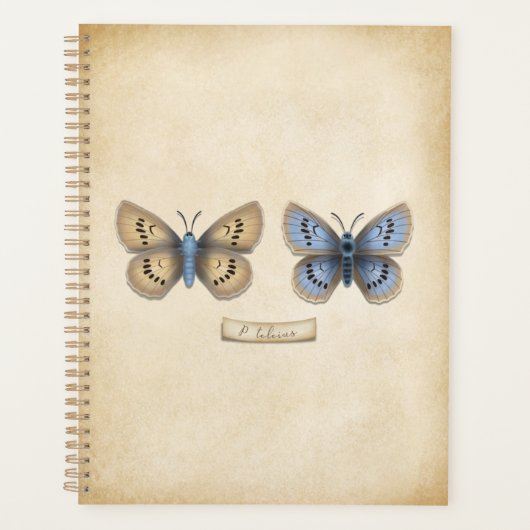 Schaars exemplaar van het grote blauwe vlindertype planner (Voorkant)