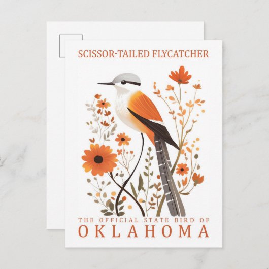 Schaarstaartvliegenvanger vogel van Oklahoma Briefkaart (Voorkant / Achterkant)