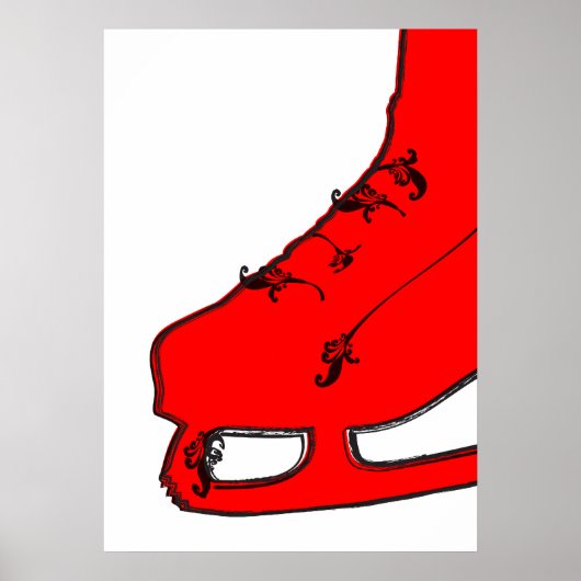 schaats van paisleyijs poster (Voorkant)