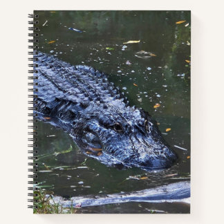 Schaduw in het ondiepe notitieboek