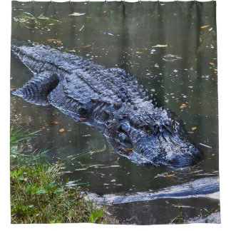 Schaduw in het ondiepe water douchegordijn