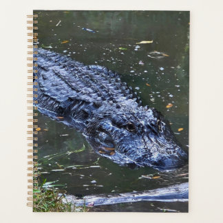 Schaduw in het ondiepe water planner