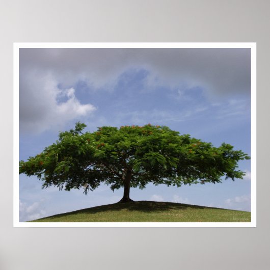 schaduw poster (Voorkant)