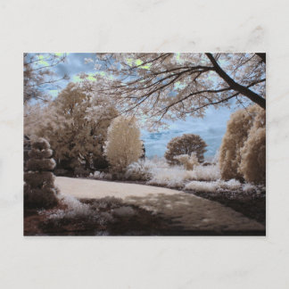 Schaduw van de tuin briefkaart