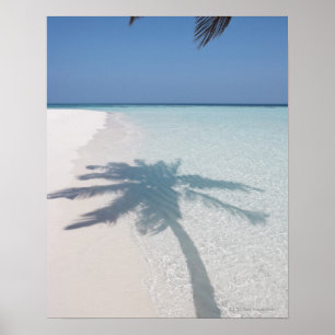 Schaduw van een palmboom op een verlaten eilandstr poster