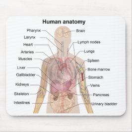 Schaduwdiagram van de menselijke anatomie muismat