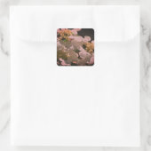Schaduwen en lichte Lacecap Hydrangea Vierkante Sticker (Tas)