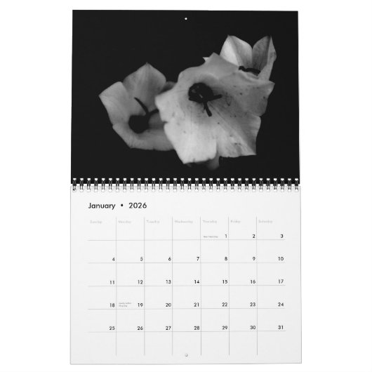 Schaduwen Kalender (Jan 2026)