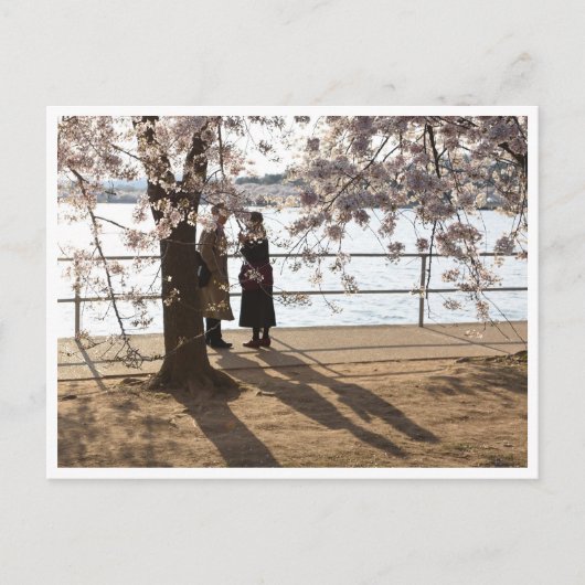 "Schaduwen onder de kersenboom"-briefkaart Briefkaart (Voorkant)