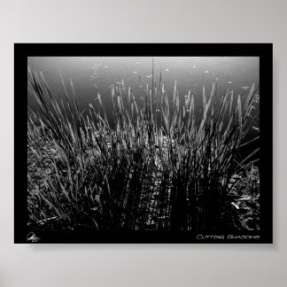 Schaduwen snijden poster