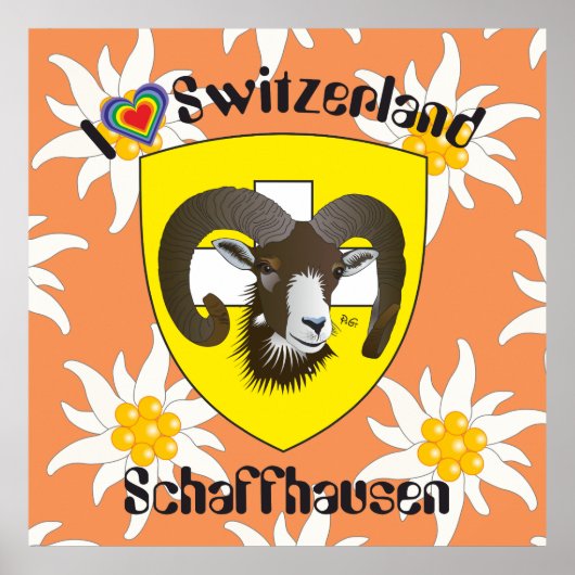 Schaffhausen - Schweiz - Suisse - Poster Svizzera (Devant)