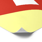 Schaffhausen - Schweiz - Suisse - Poster Svizzera (Coin)