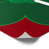 Schaffhausen - Schweiz - Suisse - Poster Svizzera (Coin)