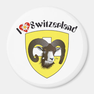 Schaffhausen Schweiz Suisse Svizwitserland Magnet Magneet