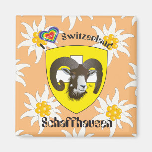 Schaffhausen - Schweiz - Suisse - Svizzera Magnet Magneet