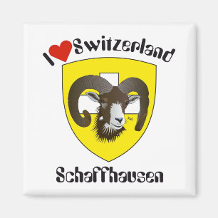 Schaffhausen Schweiz Suisse Svizzera Magnet Magneet
