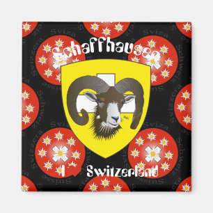 Schaffhausen - Schweiz - Suisse - Svizzera Magnet Magneet