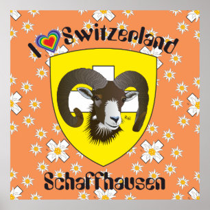 Schaffhausen - Zwitserland - Suisse - Svizzera Pos Poster