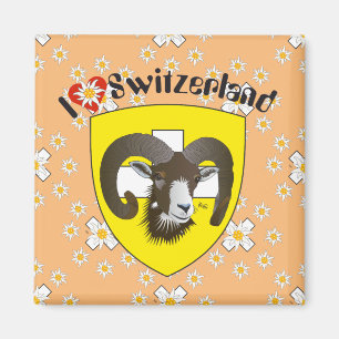Schaffhouse - Suisse - Suisse - Svizzera Magnet