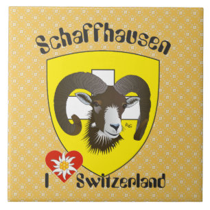Schaffhouse - Suisse - Svizzera Carreau