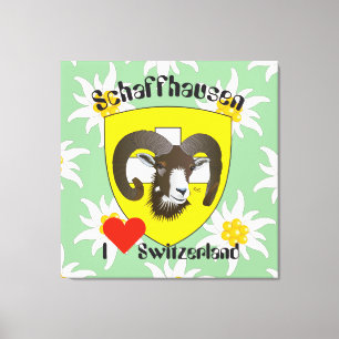 Schaffhouse - Suisse - Toile