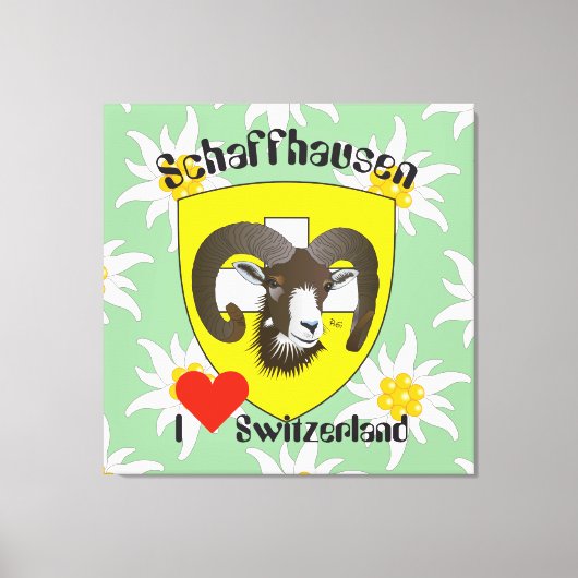 Schaffhouse - Suisse - Toile (Recto)