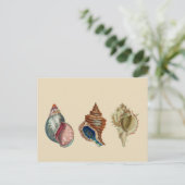 schalen briefkaart (Staand voorkant)