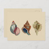 schalen briefkaart (Voorkant / Achterkant)