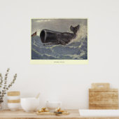  schaliegasschilfers (1909) poster (Keuken)