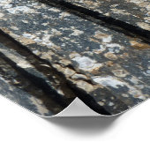 schaliegeboorten poster (Hoek)