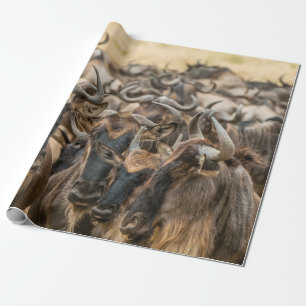 SCHALLOOG FOCUS FOTOGRAFIE VAN BROEIENDE DIEREN TI CADEAUPAPIER