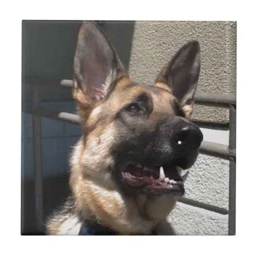 Schapel Tegeltje (Voorkant)