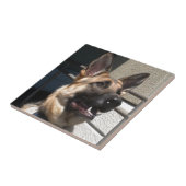 Schapel Tegeltje (Zijkant)