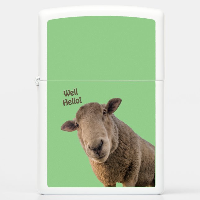 Schapen (Voorkant)