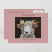 Schapen bewaren de datum briefkaart (Voorkant / Achterkant)