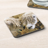 SCHAPEN BIER ONDERZETTER (Linkerzijde)