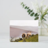 SCHAPEN BRIEFKAART (Staand voorkant)