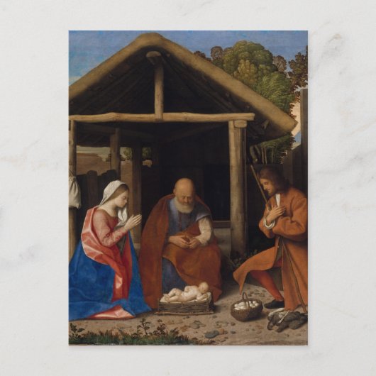 Schapen Briefkaart (Voorkant)